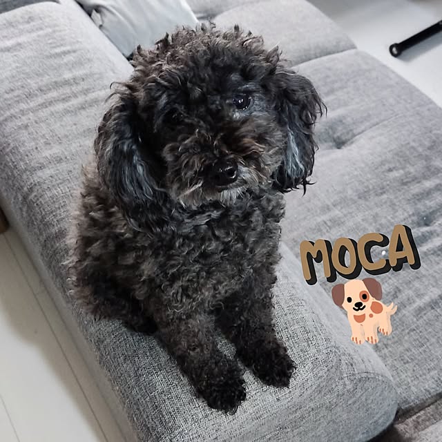 mmyrsさんの実例写真