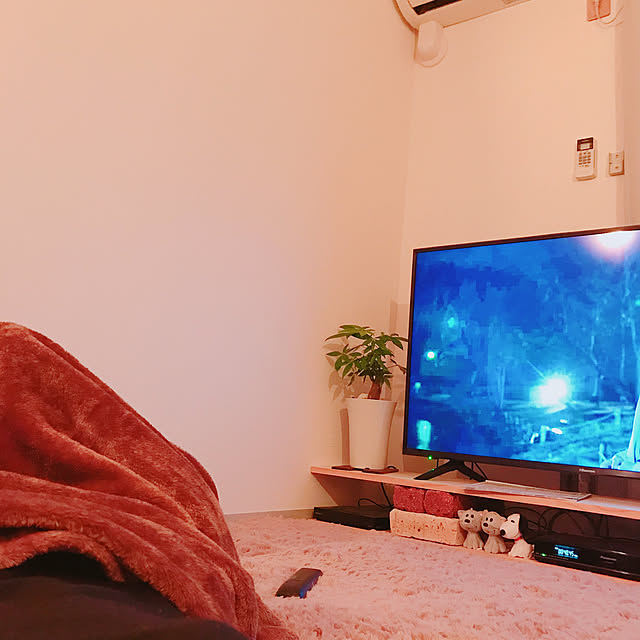 pakila15さんの実例写真