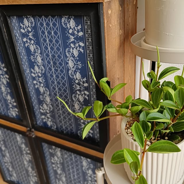 toukoさんの部屋