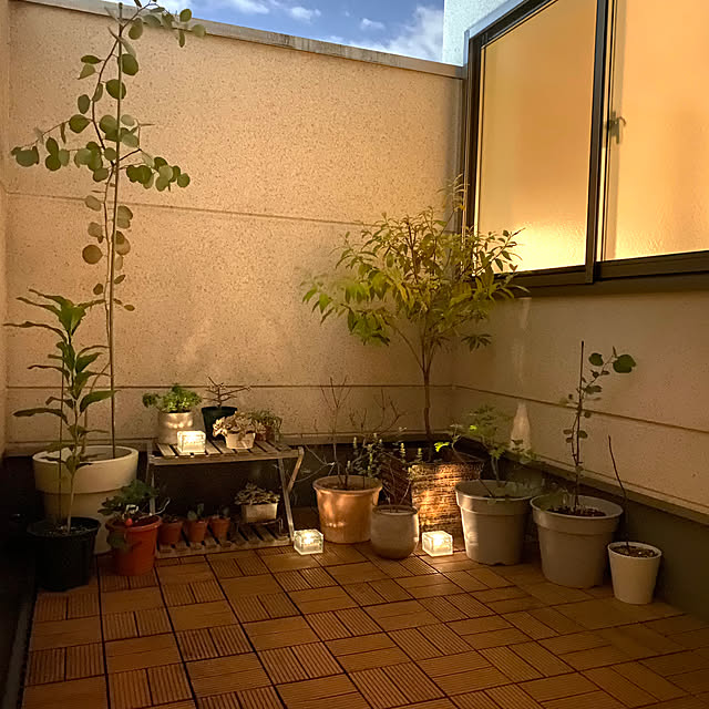 yu-rinさんの部屋