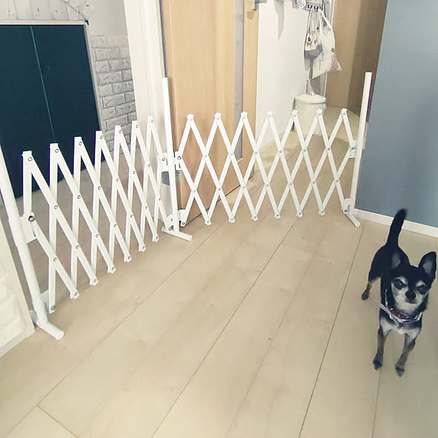 Bienvenueさんの実例写真