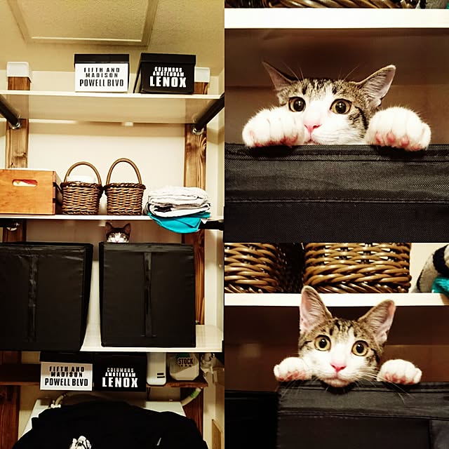 kiraさんの実例写真