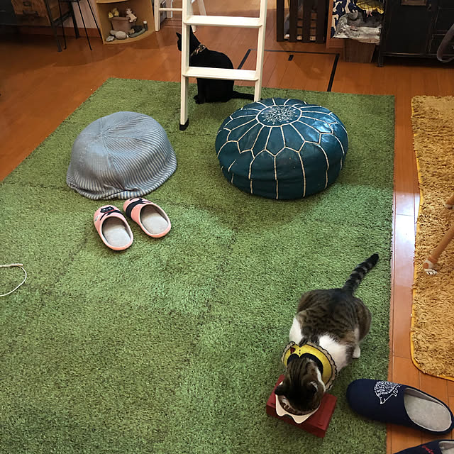 jijiさんの実例写真