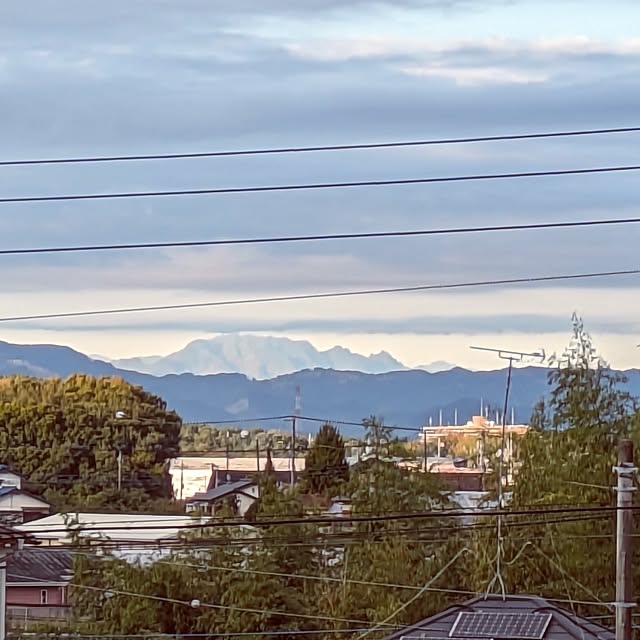 実例写真