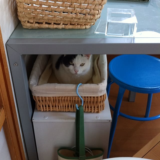 Lunaさんの実例写真