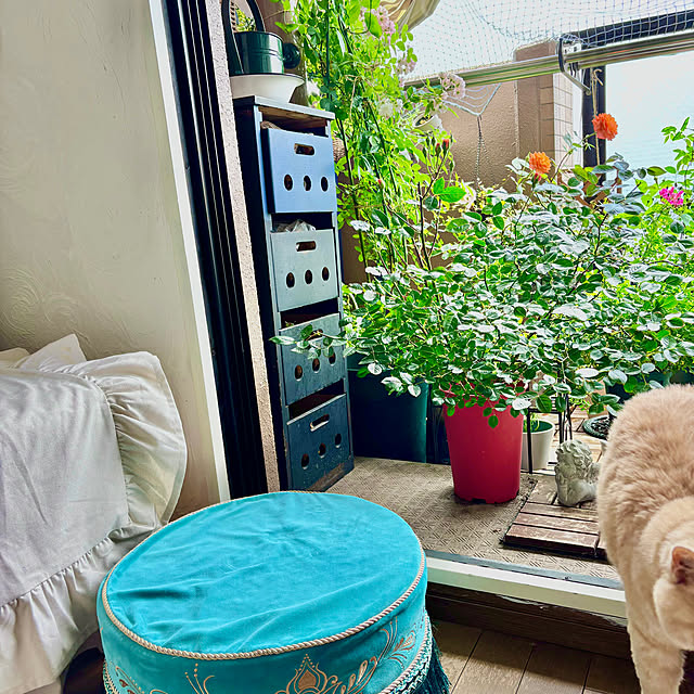 naokoさんの部屋