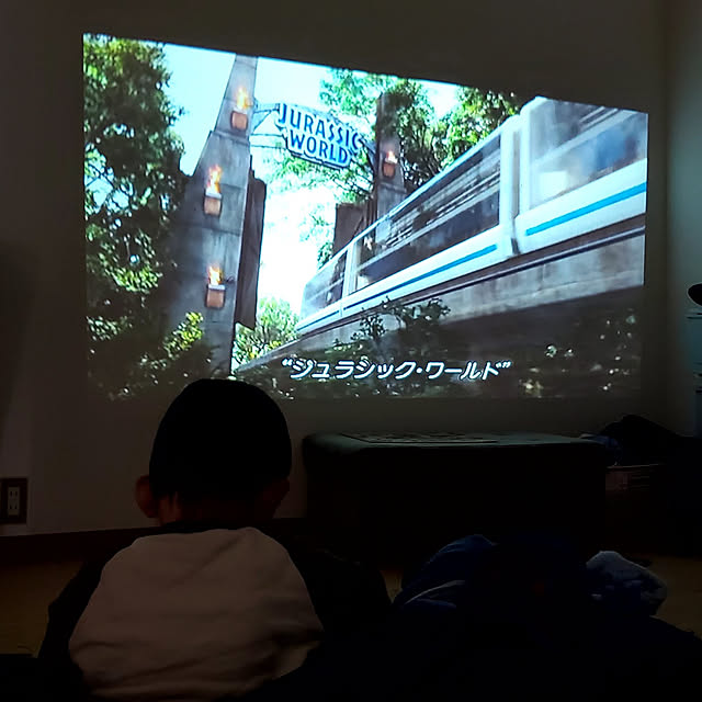 実例写真