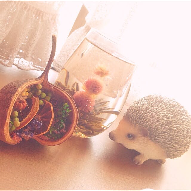 ECOさんの実例写真