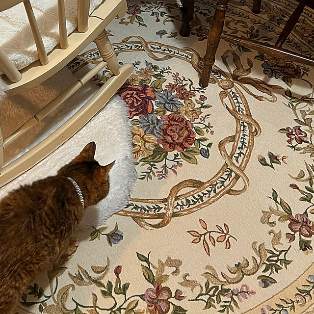 blue.with.whiteさんの部屋