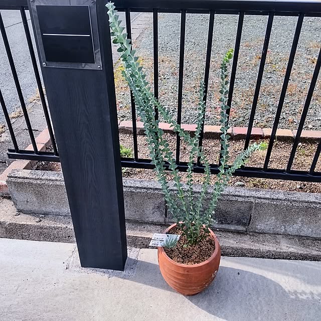 NSDさんの実例写真