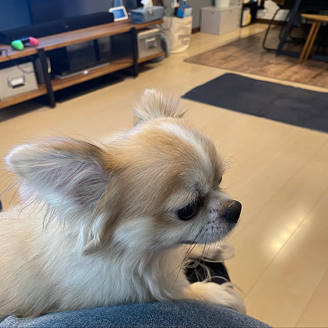 rhcmayuさんの実例写真