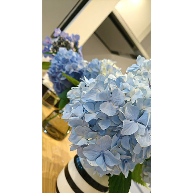 usan.22さんの実例写真