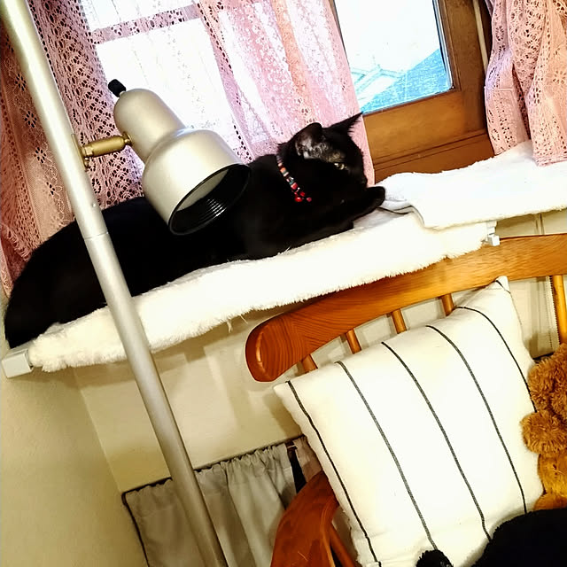 Tさんの実例写真