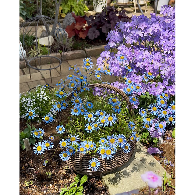 SAYOさんの実例写真