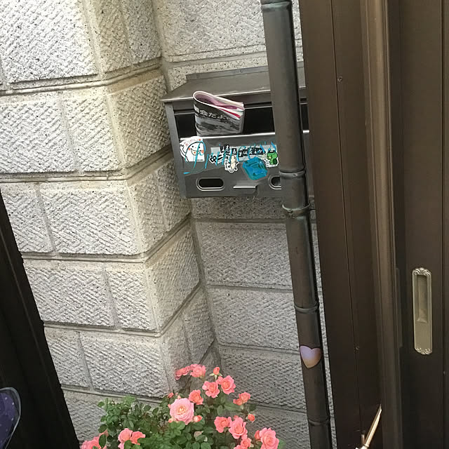 renaさんの実例写真