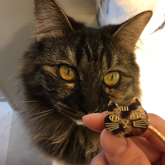 mikomaruさんの実例写真