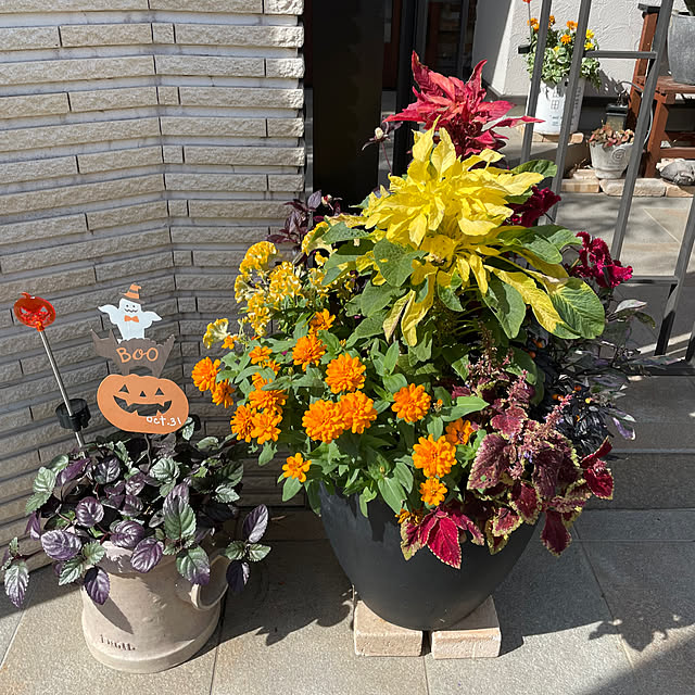 maimai0110さんの部屋