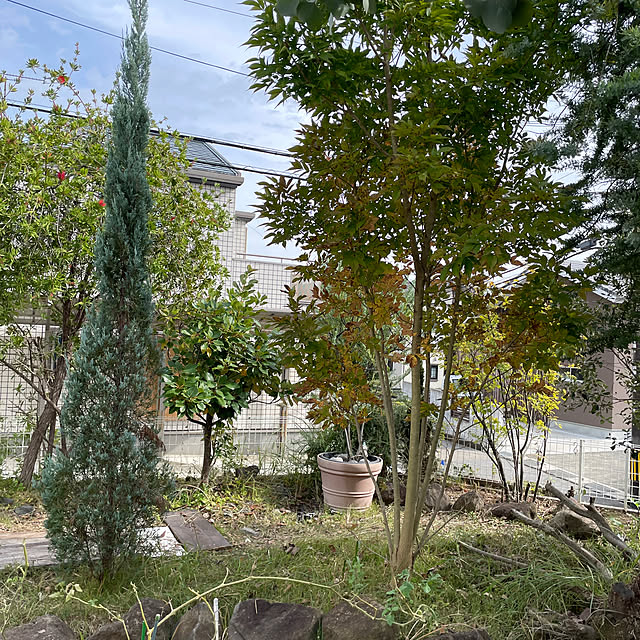 Andaluciaさんの部屋