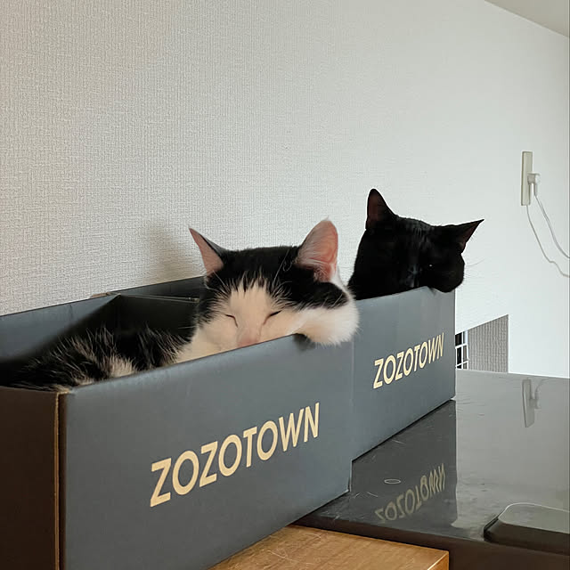 harukaさんの実例写真