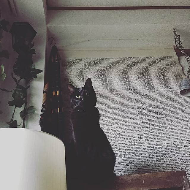 Naoki.さんの実例写真