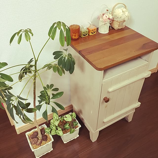 Haruさんの実例写真