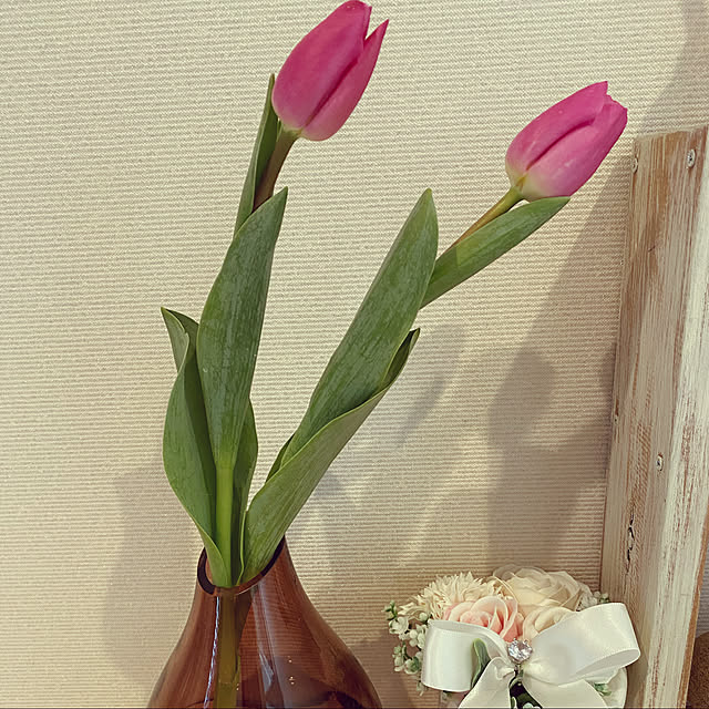 nonさんの実例写真