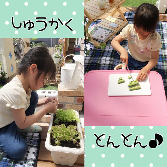 Michiさんの実例写真