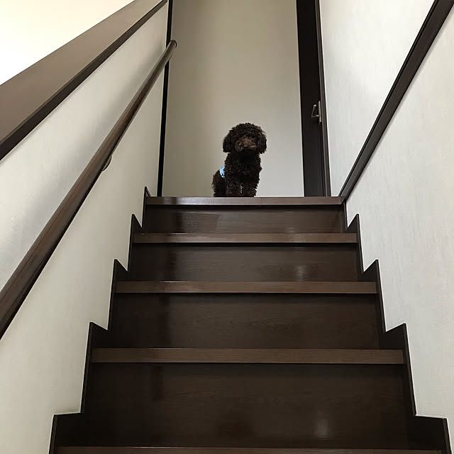 Mayさんの実例写真