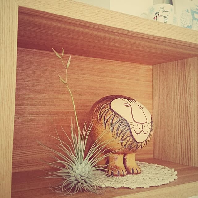 chicoさんの実例写真