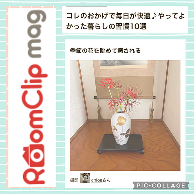 chIoeさんの実例写真