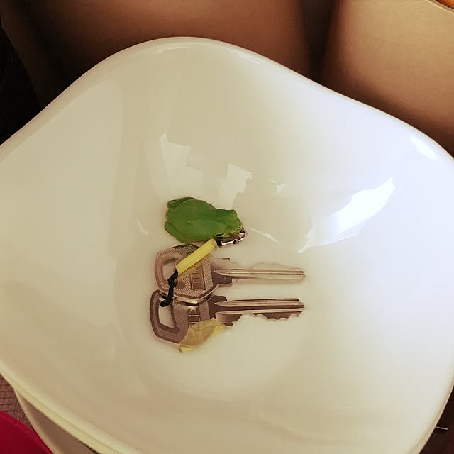 riakanaさんの実例写真