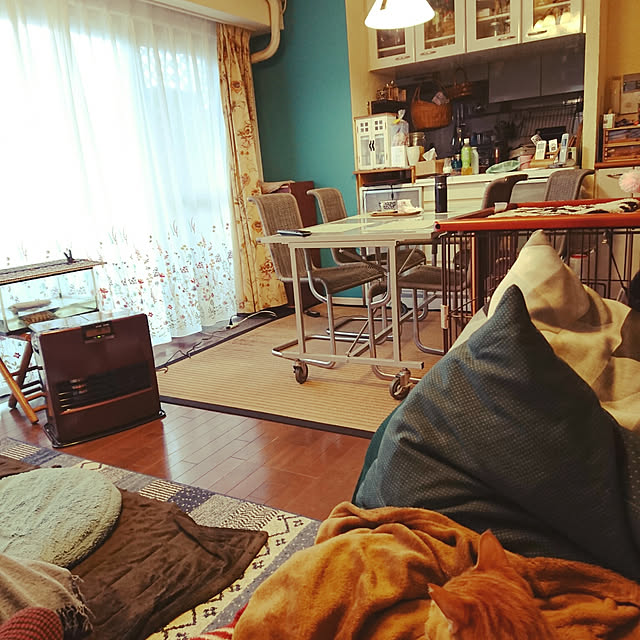 okyosan101さんの実例写真