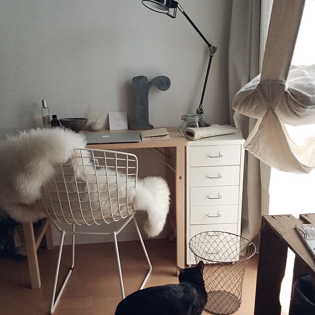 uniさんの実例写真