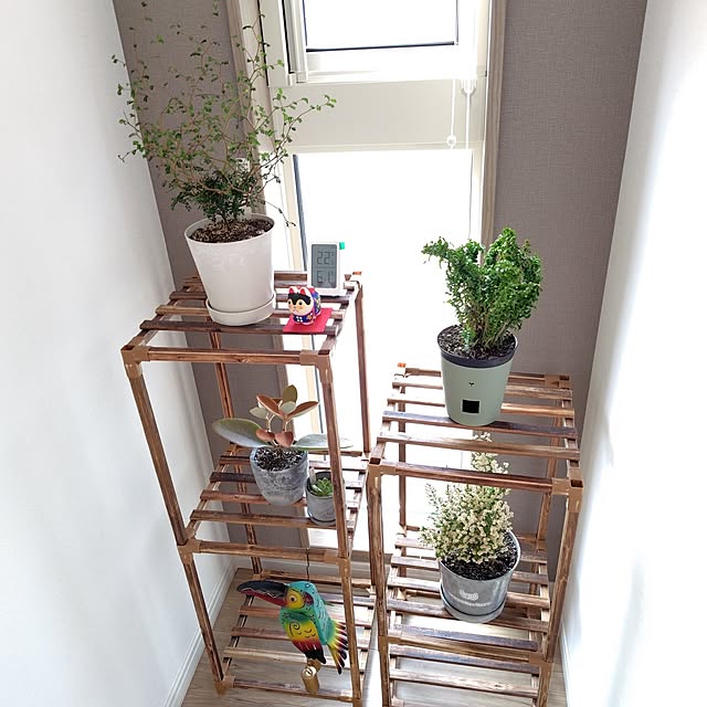 ayan-green.さんの部屋