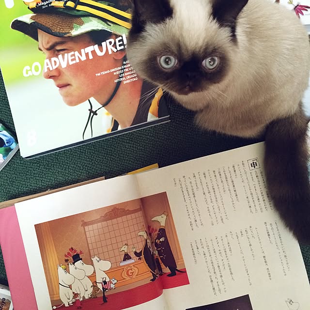 tththitii.さんの実例写真