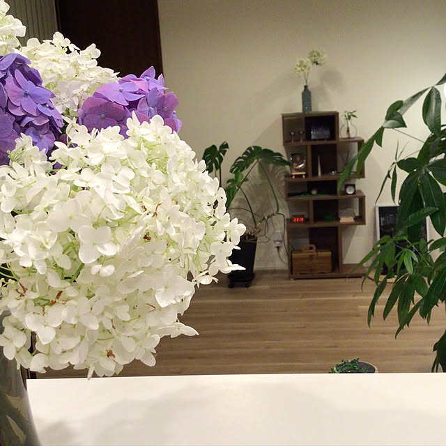 houenさんの部屋