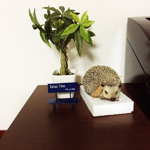 hiroさんの実例写真