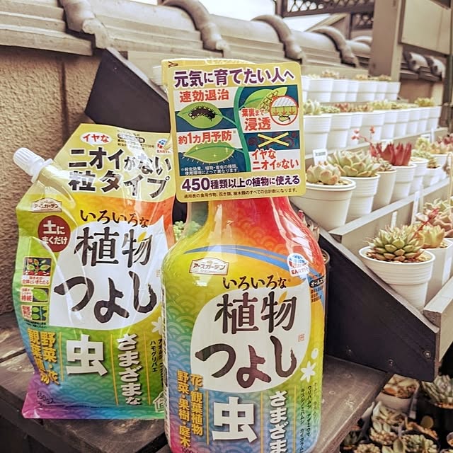 SYさんの実例写真