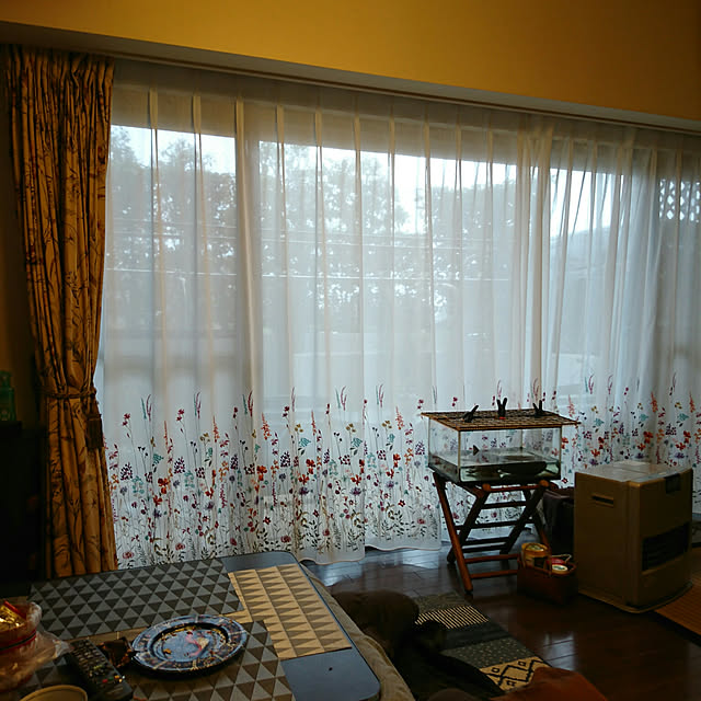 okyosan101さんの実例写真