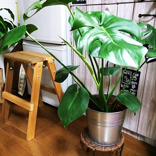 tomoさんの実例写真
