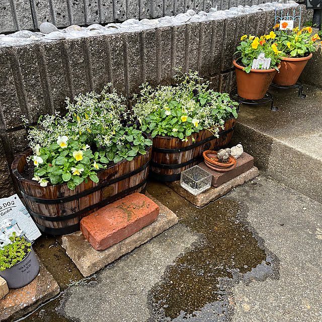 mamamichiさんの部屋