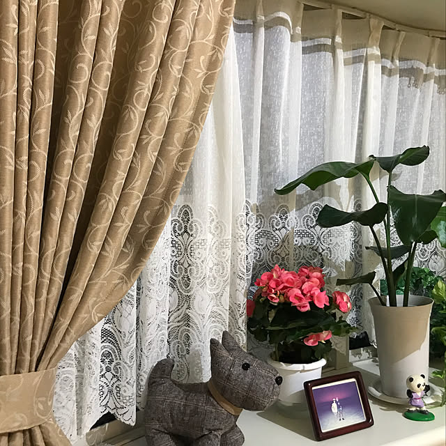 emikoさんの実例写真