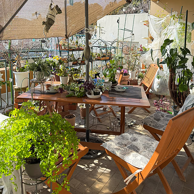 Aqettyさんの部屋