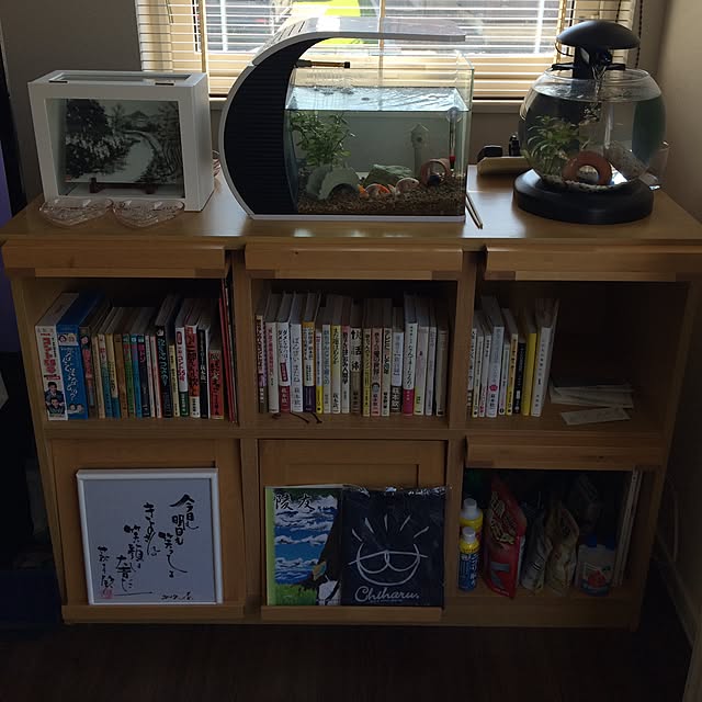 kazu598さんの実例写真