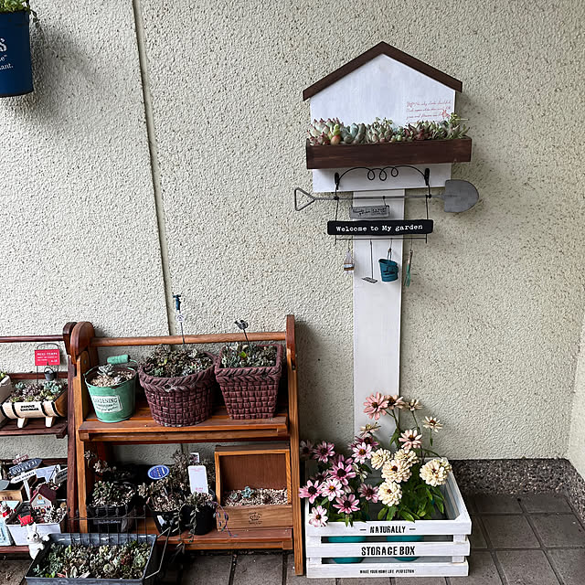 seiko44さんの実例写真