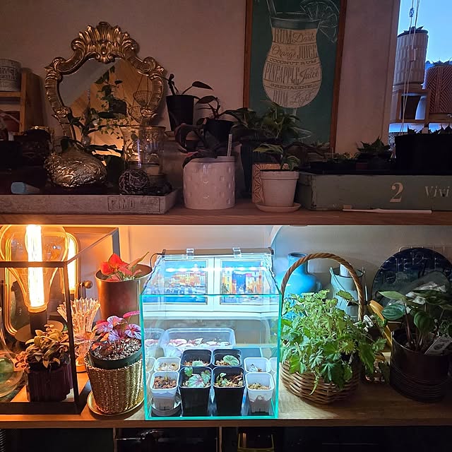 nonbiri_house_さんの部屋