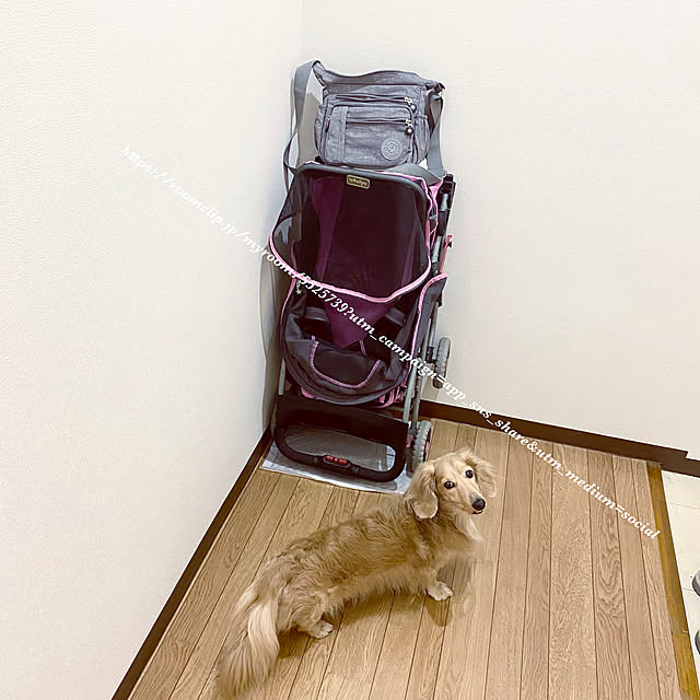 locaさんの実例写真