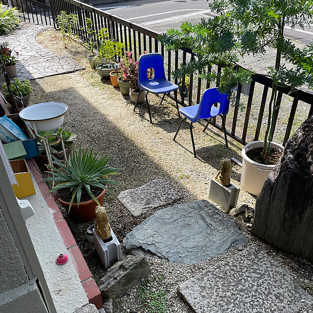 shin0719さんの実例写真