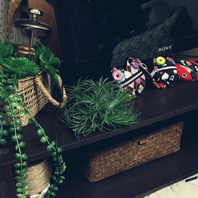 stephさんの実例写真