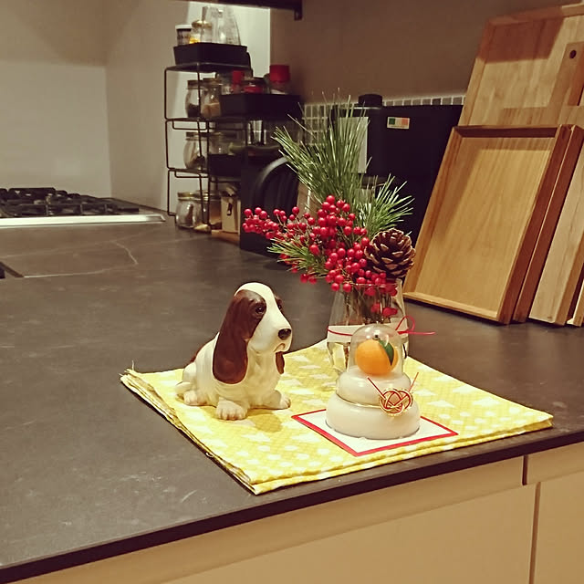 Renkaさんの実例写真